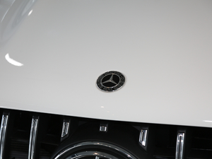 2020A(y)MG GLE 53 4MATIC+ (x)(ji)^