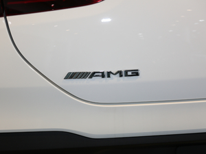 2020A(y)MG GLE 53 4MATIC+ (x)(ji)^