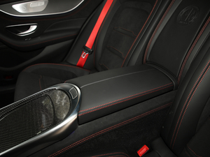 2019AMG GT 63 S 4MATIC+ T܇ 