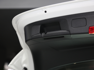 2020AMG A 45 4MATIC+ g