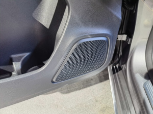 2020AMG A 45 4MATIC+ g