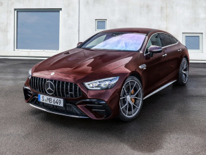 2021AMG GT 53 4MATIC+ T܇ w^