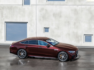2021AMG GT 53 4MATIC+ T܇ w^