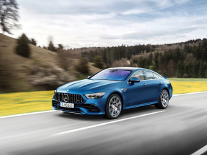 2021AMG GT 53 4MATIC+ T܇ w^