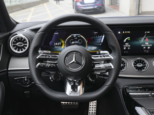 2022AMG GT 50 4MATIC+ T܇  P