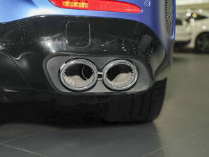 2022AMG GT 50 4MATIC+ T܇؄e  ^