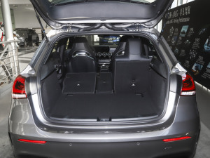 2022AMG A 45 4MATIC+ g