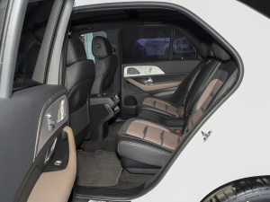 2022A(y)MG GLE 53 4MATIC+ҹ؄e ſg