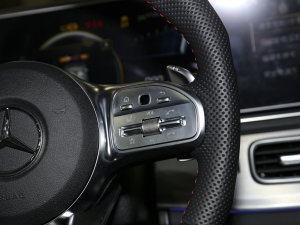 2023AMG GLE 53 4MATIC+ п؅^