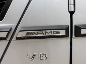 2009A(y)MG G 55 (x)(ji)^