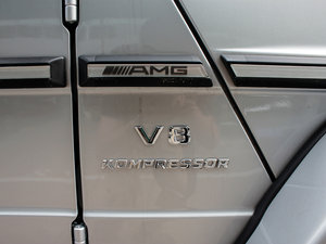 2009A(y)MG G 55 (x)(ji)^