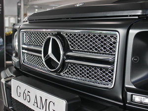 2013AMG G 65 ^