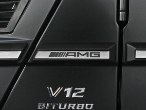 2013AMG G 65 ^