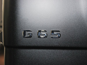 2013A(y)MG G 65 (x)(ji)^