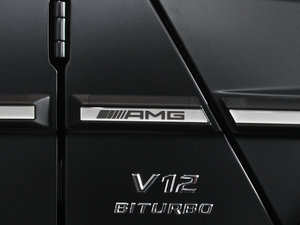 2013A(y)MG G 65 (x)(ji)^