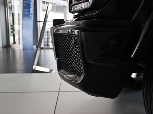 2013AMG G 63 (ji)^