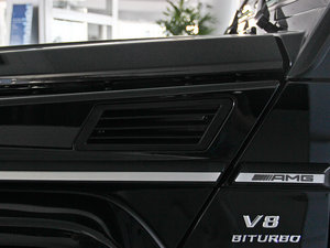 2013AMG G 63 (ji)^