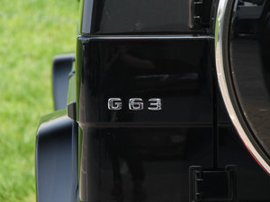 2013A(y)MG G 63 (x)(ji)^