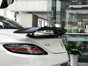 2014AMG SLS Black Series ^