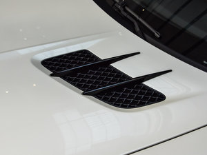 2014AMG SLS Black Series ^