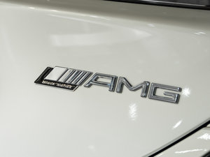 2014AMG SLS Black Series ^