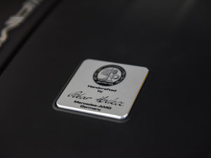 2015款AMG GT S 其它