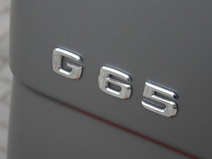 2015款AMG G 65 细节外观