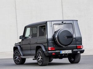 2015AMG G 63 w^