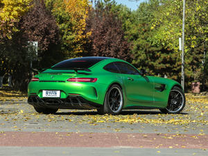 2017AMG GT R w^