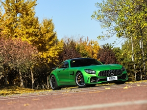 2017AMG GT R w^