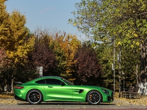 2017AMG GT R w^