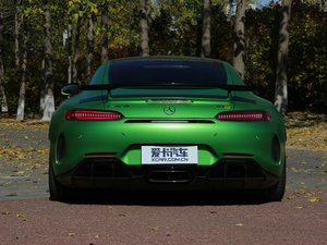2017AMG GT R ^