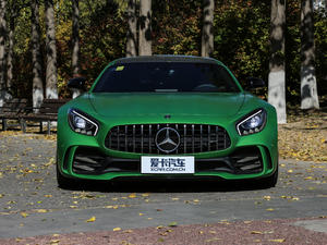 2017AMG GT R ϸ