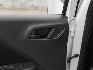 20191.5L CVT̈́(dng)Pro g