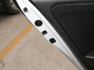 20191.5L CVT̈́(dng)Pro g