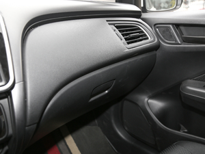 20191.5L CVT̈́(dng)Pro g