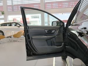 2020款240TURBO CVT两驱幻夜版 驾驶位车门