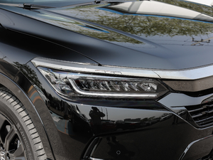 20202.0L (q)Jҹ (x)(ji)^