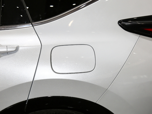 20202.0L (q)JF (x)(ji)^