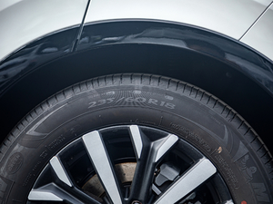 20202.0L (q)JA ݆̥ߴ