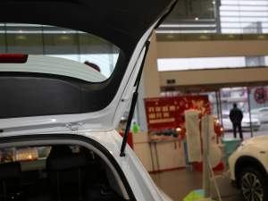 2020220 TURBO CVTӢ g