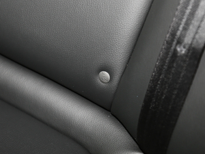 2020��1.5L �J����Ş�� ���g����