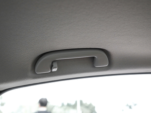 2020��1.5L �J����Ş�� ���g����