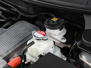 2020��1.5L �J����Ş�� ����