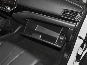 2020��1.5L �J���I(l��ng)�Ȱ� ������