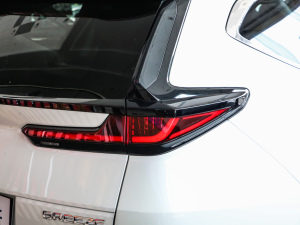 20212.0L (q)JF (x)(ji)^