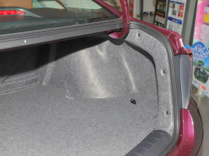 2022��1.5L �J����Ş�� ���g����