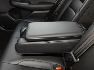 2022��1.5L �J�����A�� �����������