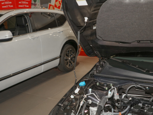 2022240TURBO CVTҹƼ 