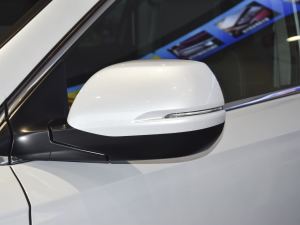 2022款e:PHEV 尊贵版 后视镜